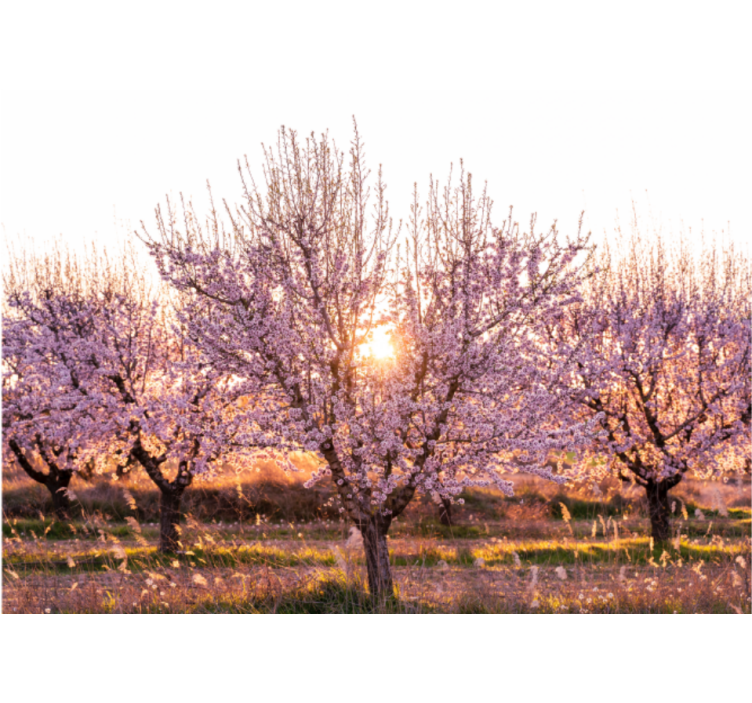 Rollo fenster wohnzimmer pinkes blumenlandscape - TenStickers