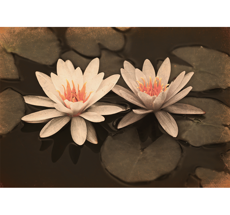 Rollo fenster wohnzimmer vintage lotus - TenStickers