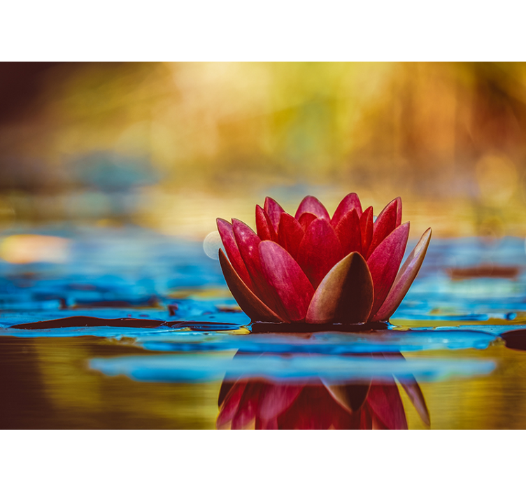 Rollo fenster wohnzimmer zen reflektierte lotusblume - TenStickers