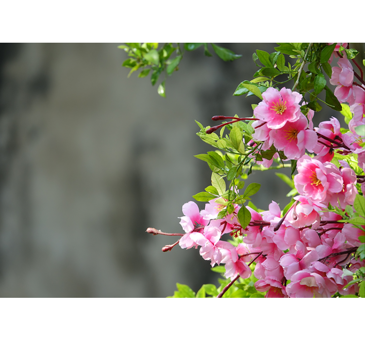Rollo fenster wohnzimmer mit 3d rosa blumen - TenStickers