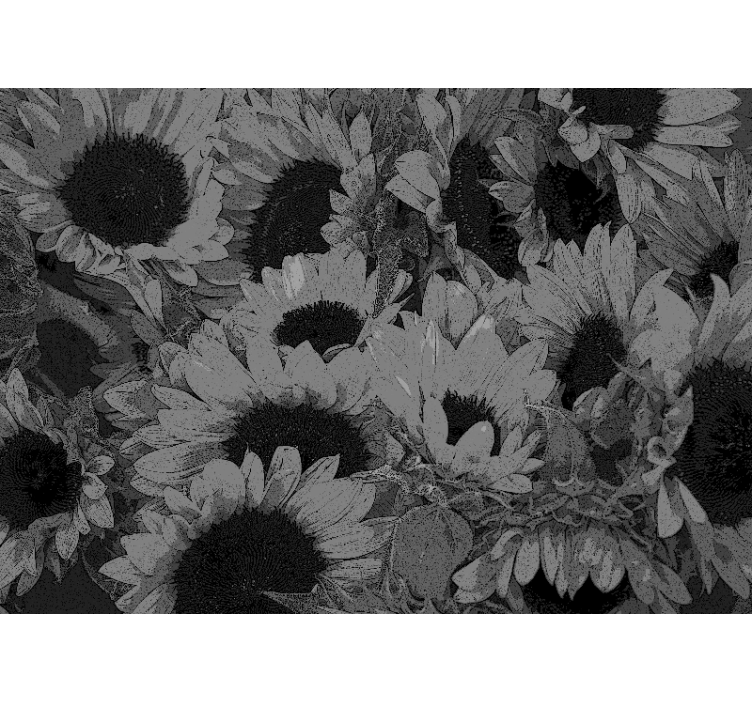Rollo fenster wohnzimmer sonnenblumen schwarz weiß - TenStickers