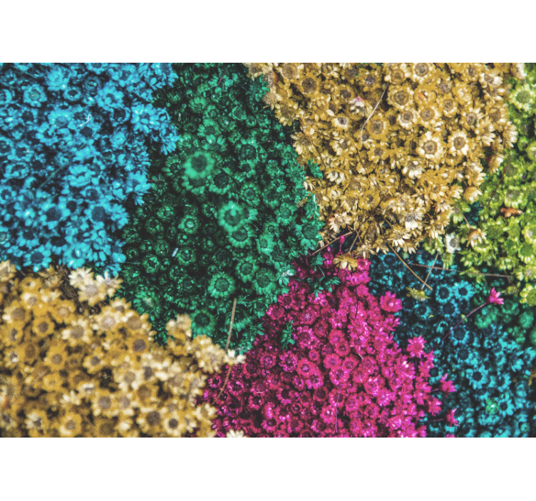 Rollo fenster wohnzimmer regenbogen gänseblümchen - TenStickers