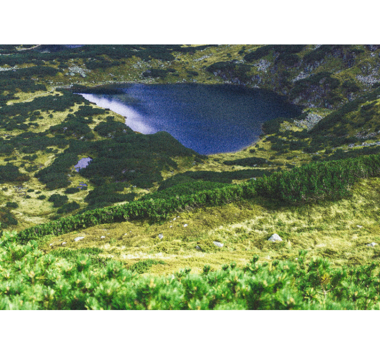 Rollo fenster wohnzimmer in grün polnische tatra - TenStickers