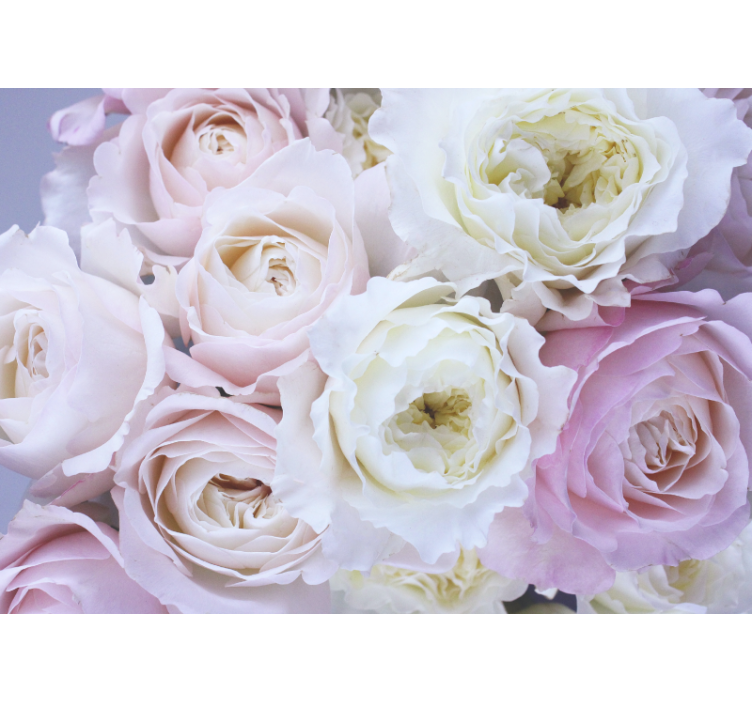 Rollo fenster wohnzimmer verschiedene rosen nahaufnahme - TenStickers