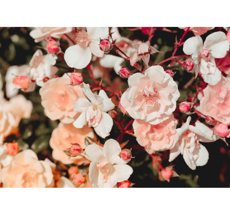 Rollo fenster wohnzimmer mit vielen blumen - TenStickers