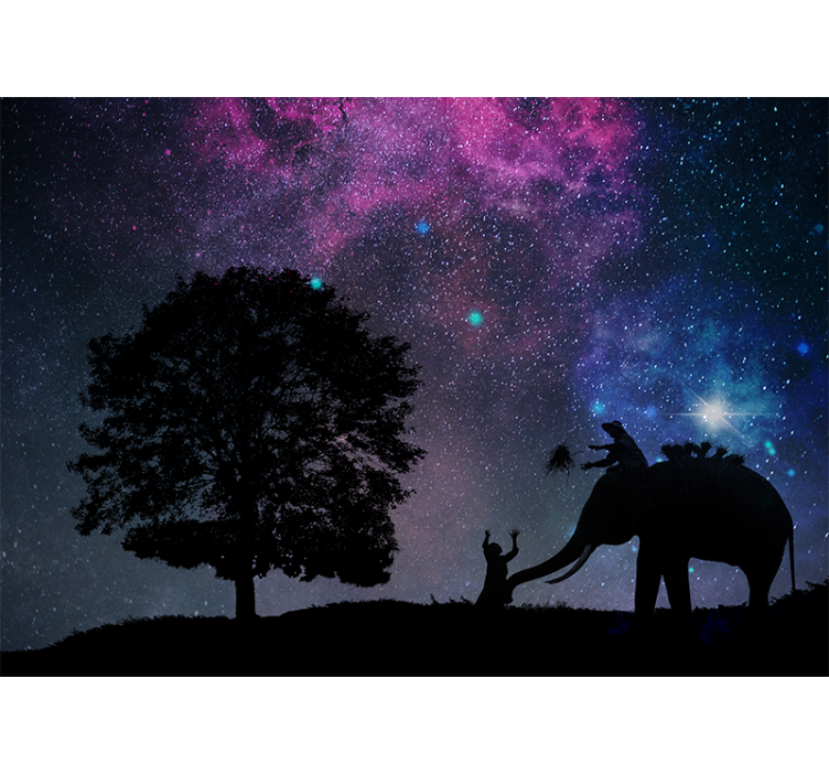 Rollo fenster wohnzimmer elefant in der sternennacht - TenStickers