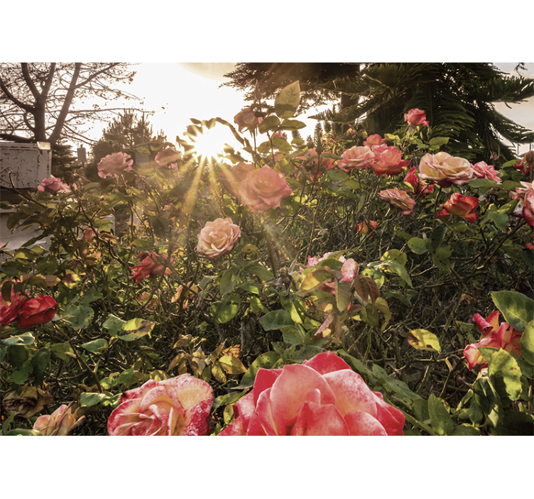 Rollo fenster wohnzimmer im floralen cottagecore-stil - TenStickers
