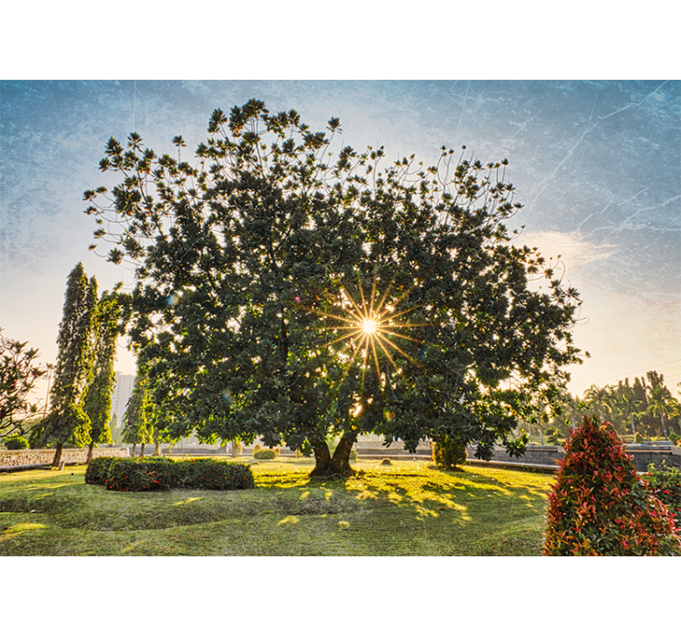 Rollo fenster wohnzimmer sonniger sommerpark - TenStickers