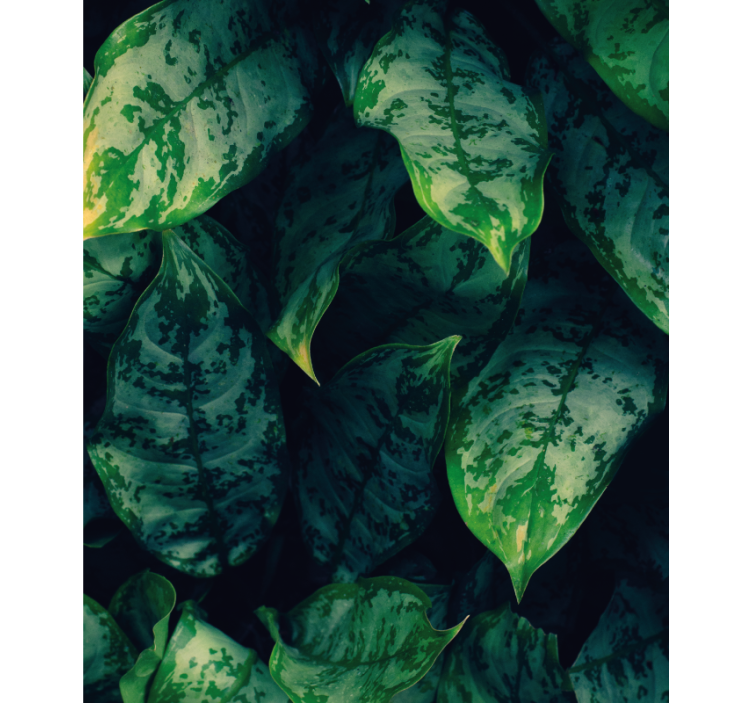 Rollo Fenster Blumen leuchtend grüne blätter - TenStickers