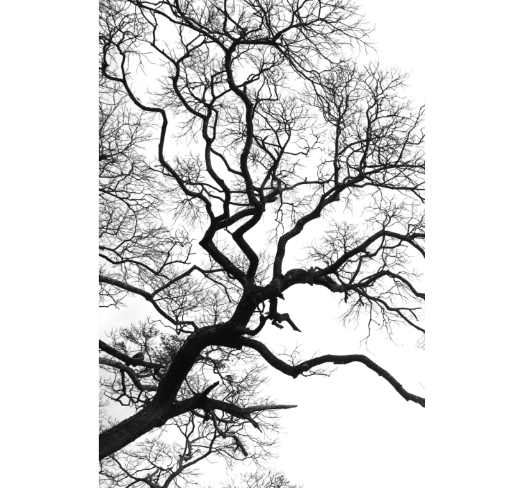 Rollo mit Zeichnungen Einzelner holzastbruch - TenStickers