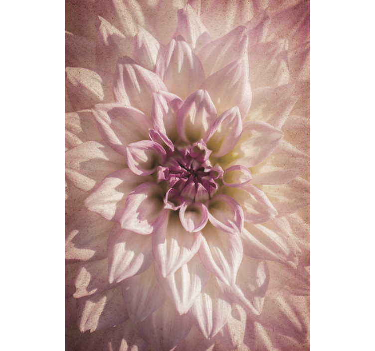 Rollo Fenster Blumen zarte blüte - TenStickers