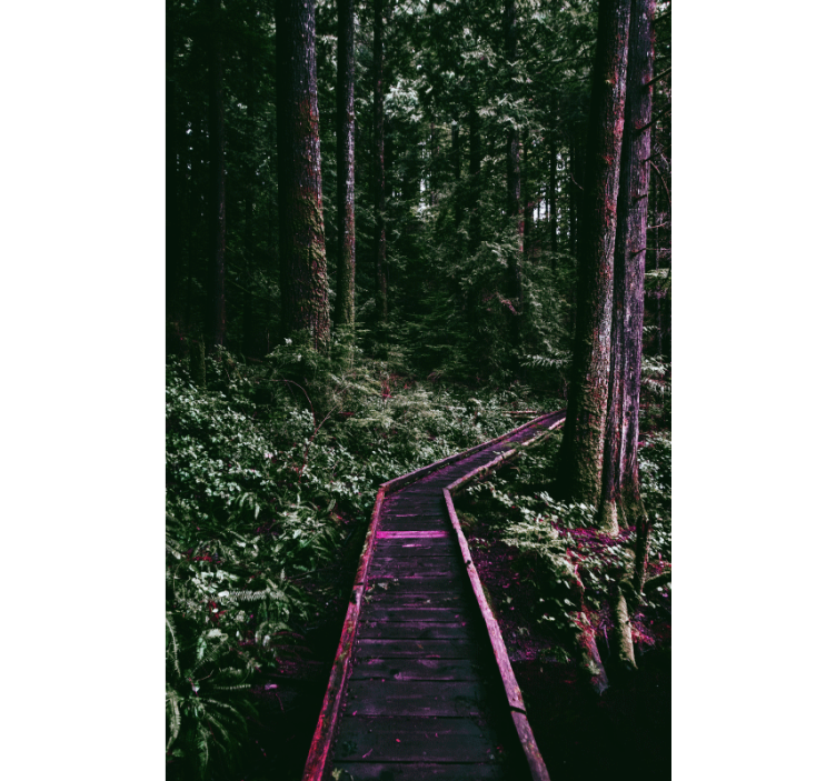 Rollo Fenster Baum waldweg - TenStickers