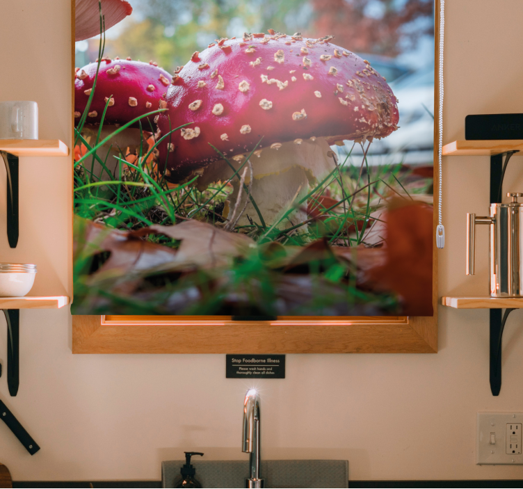 Rollo Fenster Blumen leuchtend rote pilze - TenStickers