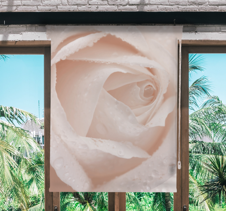 Rollo Fenster Blumen zartes rosenblatt - TenStickers