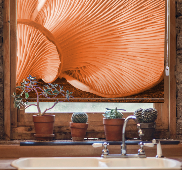 Rollo Fenster Obst pilzlamellen nahaufnahme - TenStickers