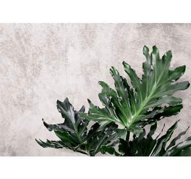 Küchenfenster rollo grüne blätter auf betonhintergrund - TenStickers