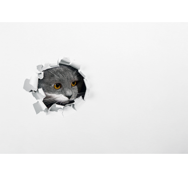 Rollo fenster weiß mit niedlicher katze - TenStickers