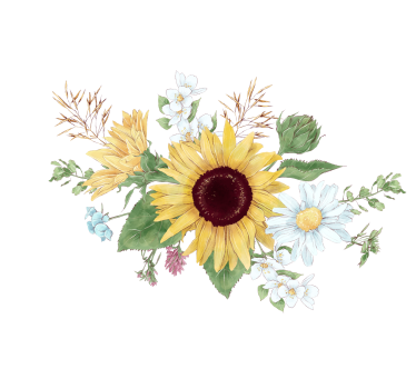 Rollo fenster weiß sonnenblumen und gänseblümchen - TenStickers