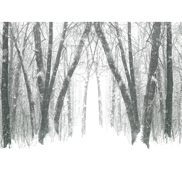 Rollo fenster weiß winterbäume im wald - TenStickers