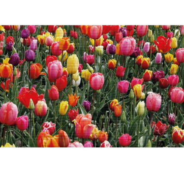 Rollo fenster wohnzimmer mit vielen tulpen im feld - TenStickers