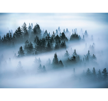 Rollo fenster wohnzimmer morgendlicher nebel - TenStickers