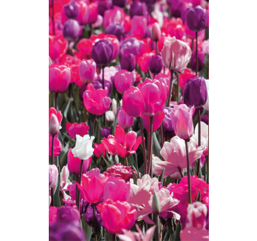 Rollo Fenster Blumen lila tulpenblüten - TenStickers