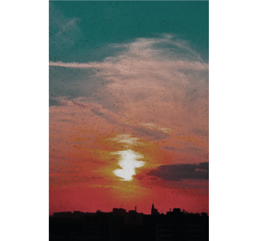 Rollo Fenster Wolken sonnenuntergang über der stadt - TenStickers