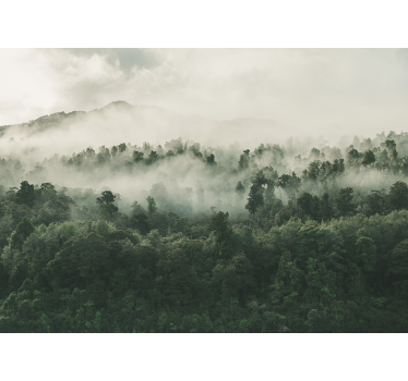 Rollo Fenster Baum üppiger waldnebel - TenStickers
