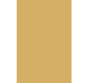 Rollo Fenster Blickdicht goldbeige farbe - TenStickers