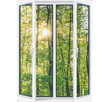 Rollo Fenster Baum sonnenbeschienenes grün - TenStickers