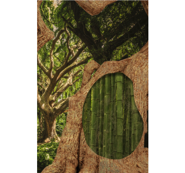 Rollo Fenster Baum bambuswaldszene - TenStickers