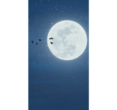 Rollo originell Vollmond und himmel - TenStickers