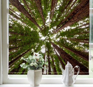 Rollo Fenster Baum hohes baldachin-design - TenStickers