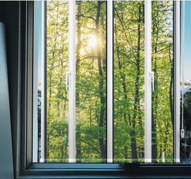 Rollo Fenster Baum sonnenbeschienenes grün - TenStickers