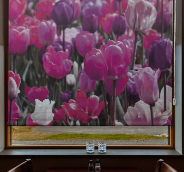 Rollo Fenster Blumen lila tulpenblüten - TenStickers