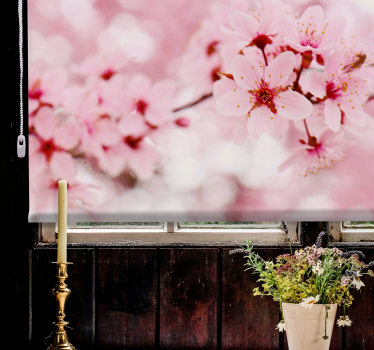 Rollo Fenster Blumen kirschblüten-eleganz - TenStickers