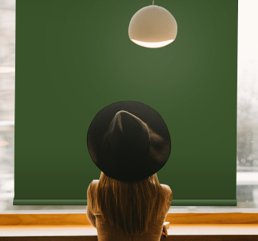 Rollo Fenster Blickdicht grüner minimalistischer farbton - TenStickers