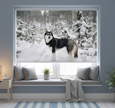Rollo fenster weiß winterwald und husky hund - TenStickers