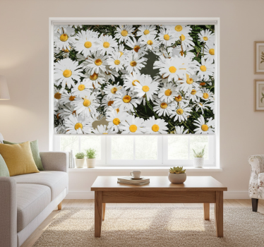 Rollo fenster wohnzimmer gänseblümchen wiese - TenStickers