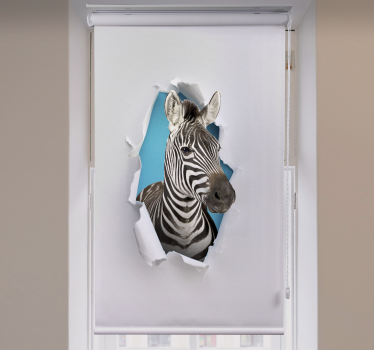 Zebra verschiedene Tier Rollo - TenStickers