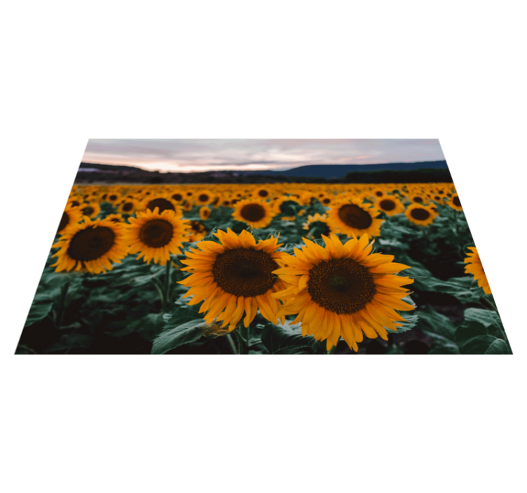 Tischsets originell sonnenblumenfeld ansicht - TenStickers