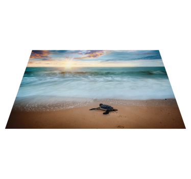 Sonnenuntergang mit Schildkröten Vinyl Platzsets - TenStickers