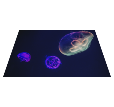 Platzset Fisch Bunte Quallen - TenStickers