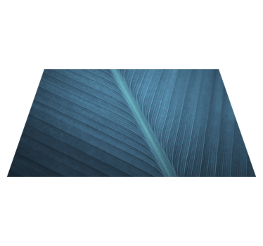Platzset modern Großes blaugraues blatt - TenStickers