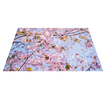Tischset textur mit blühenden kirschblüten - TenStickers