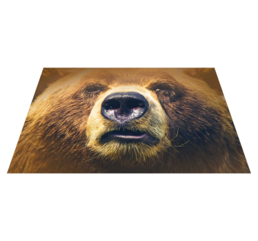 Tischsets originell bärenkopf nahaufnahme - TenStickers