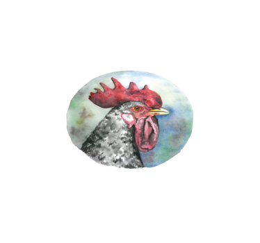 Tischsets originell mit buntem hahnportrait - TenStickers