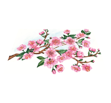 Tischsets originell mit eleganter blumen-schale - TenStickers