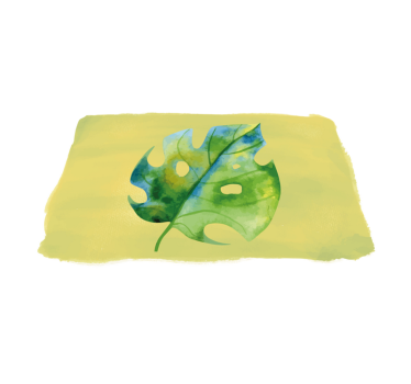 Aquarell monstera Tischsets - TenStickers