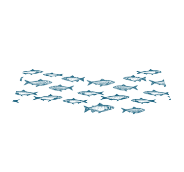 Platzset rechteckig Schule der fischwelle - TenStickers